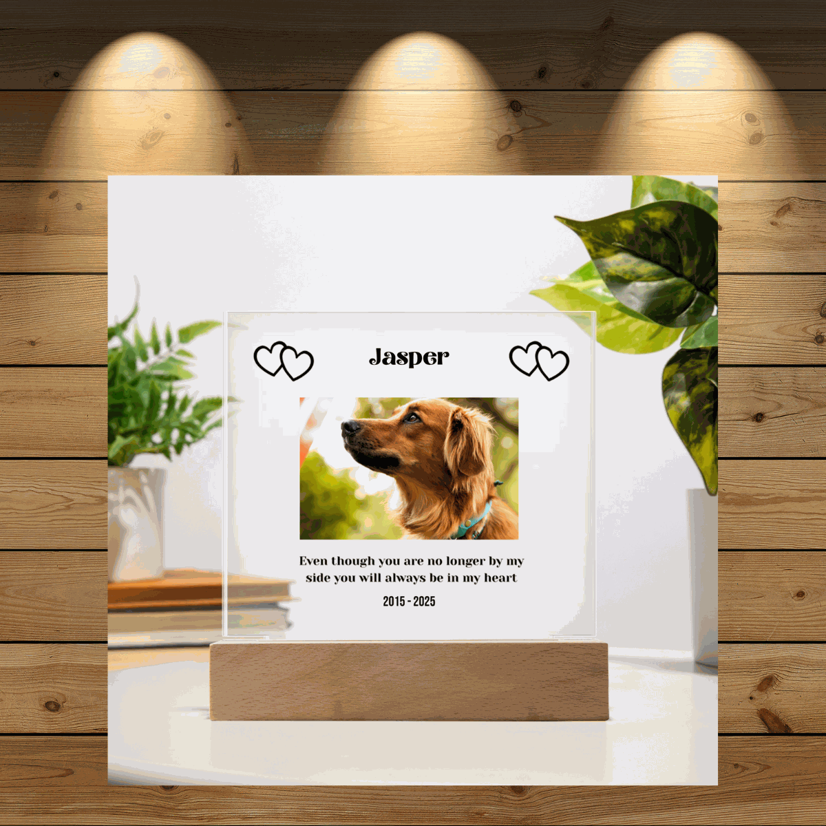 Personalized acrylic pet memorial plaque with dog photo and lighted wooden base tribute for remembrance